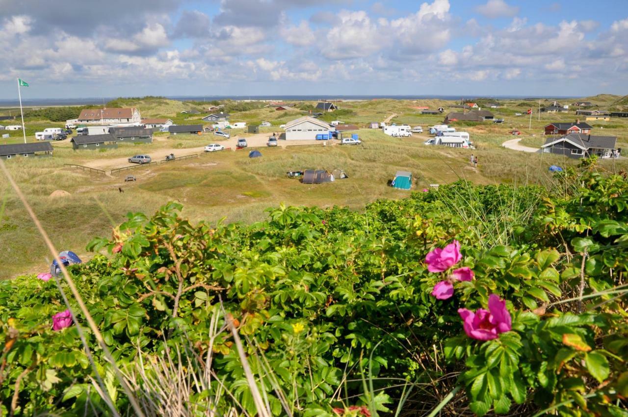 Dancamps Holmsland